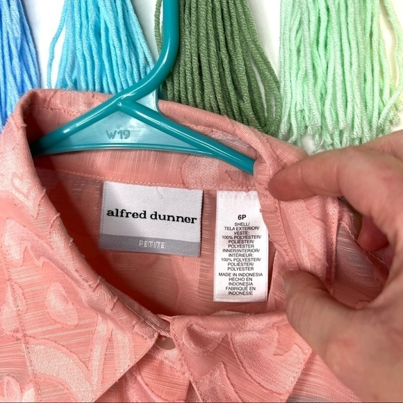 Vintage Alfred Dunner Button Up Scrollwork Blush Sheer Top Blouse Size 6 Petite - Picture 9 of 16